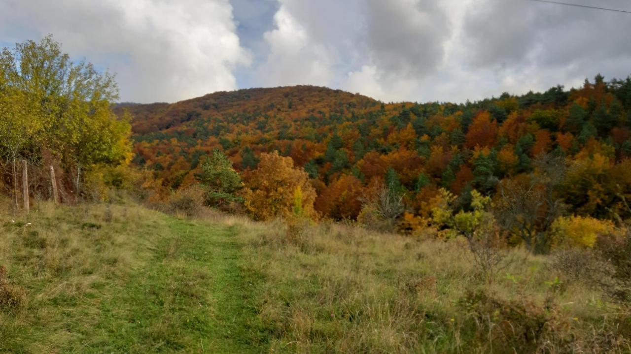 Penzion Pri Studnicke Omastina Bagian luar foto
