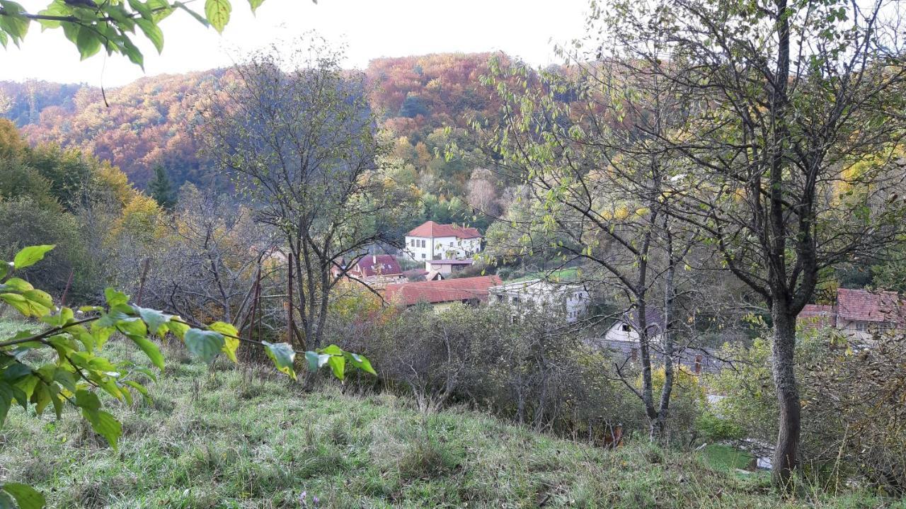 Penzion Pri Studnicke Omastina Bagian luar foto