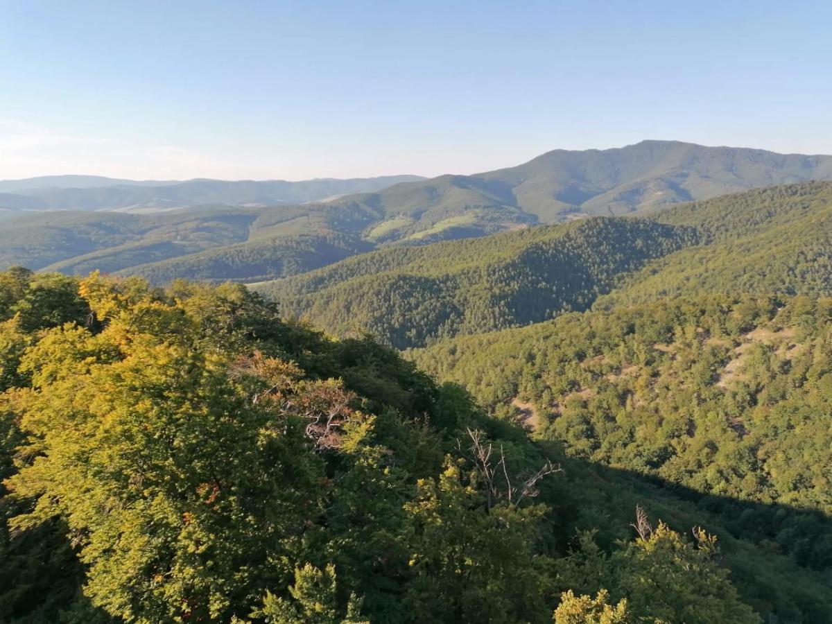Penzion Pri Studnicke Omastina Bagian luar foto