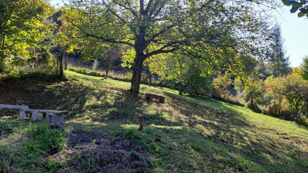 Penzion Pri Studnicke Omastina Bagian luar foto