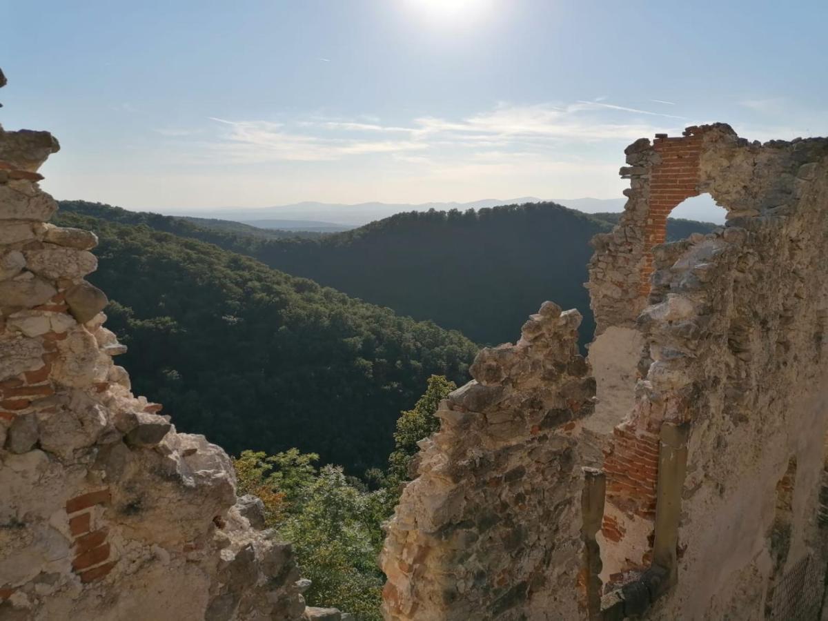 Penzion Pri Studnicke Omastina Bagian luar foto